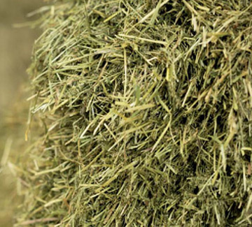 straw type vita hay